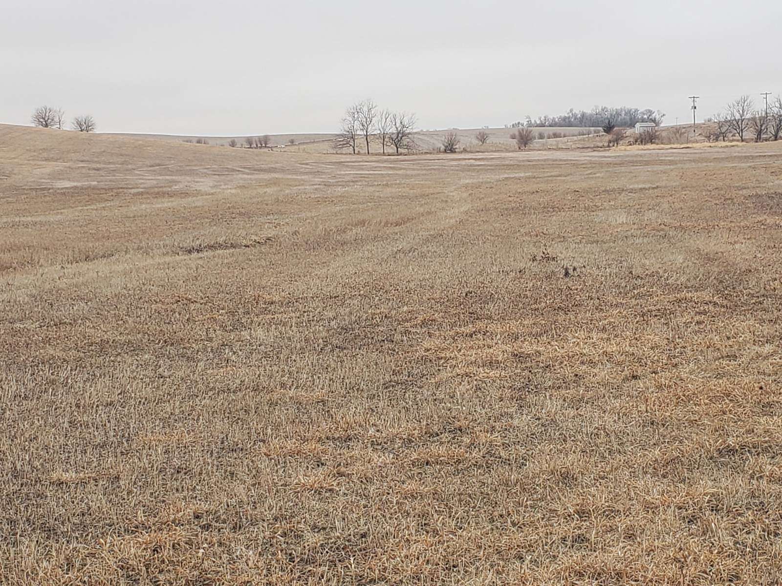 16.6 Acres of Land for Sale in Belden, Nebraska