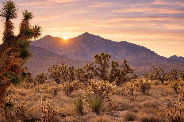 2 Acres of Residential Land for Sale in Dolan Springs, Arizona