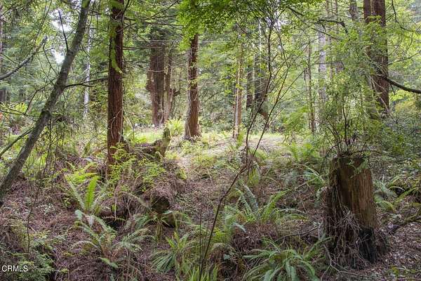 1 Acre of Residential Land for Sale in Fort Bragg, California