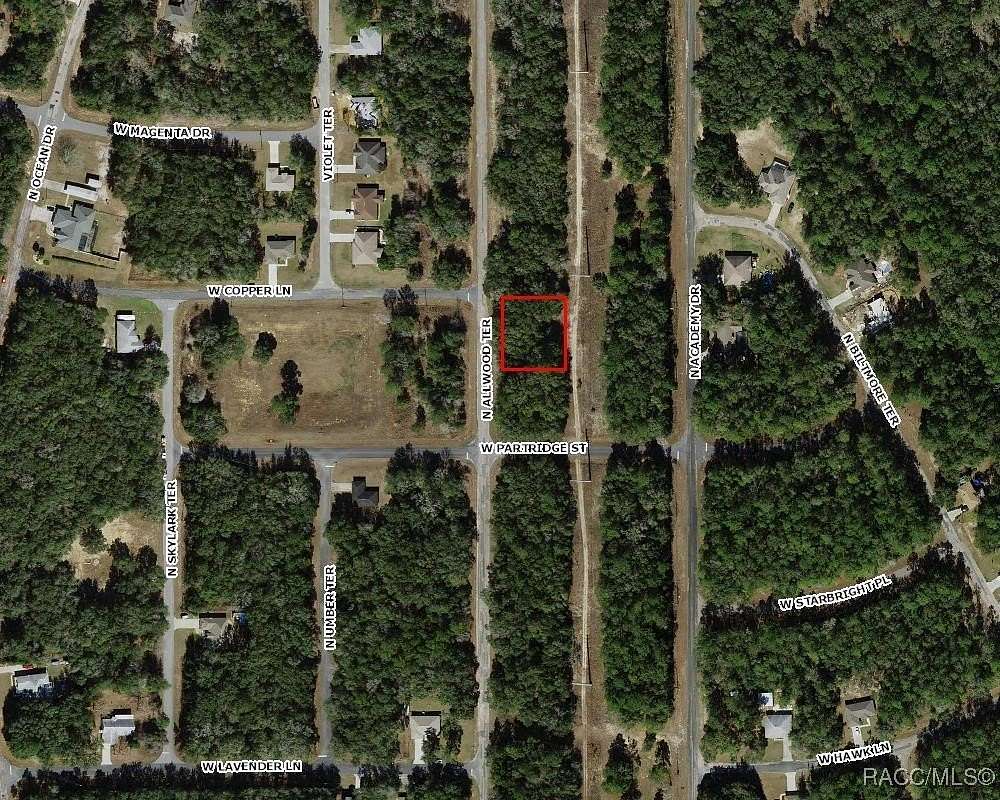 0.23 Acres of Residential Land for Sale in Dunnellon, Florida