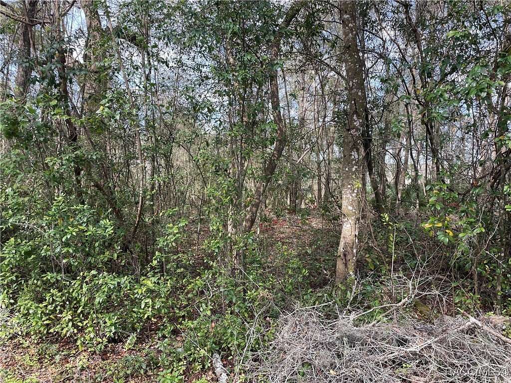 0.51 Acres of Residential Land for Sale in Inverness, Florida