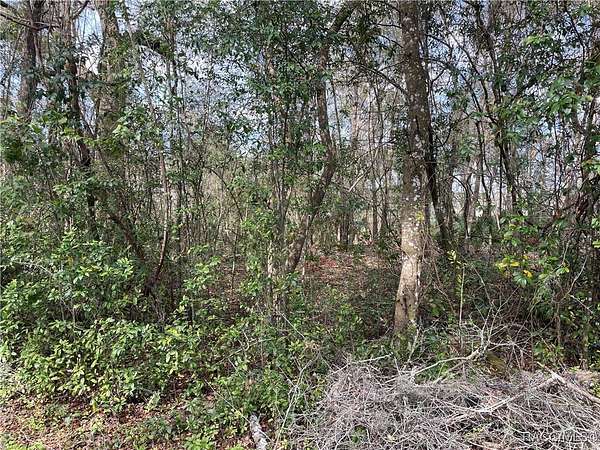 0.51 Acres of Residential Land for Sale in Inverness, Florida