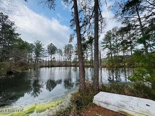 40 Acres of Recreational Land for Sale in Foxworth, Mississippi