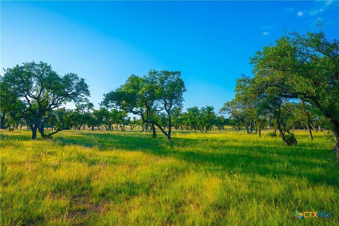 9 Acres of Agricultural Land for Sale in Johnson City, Texas