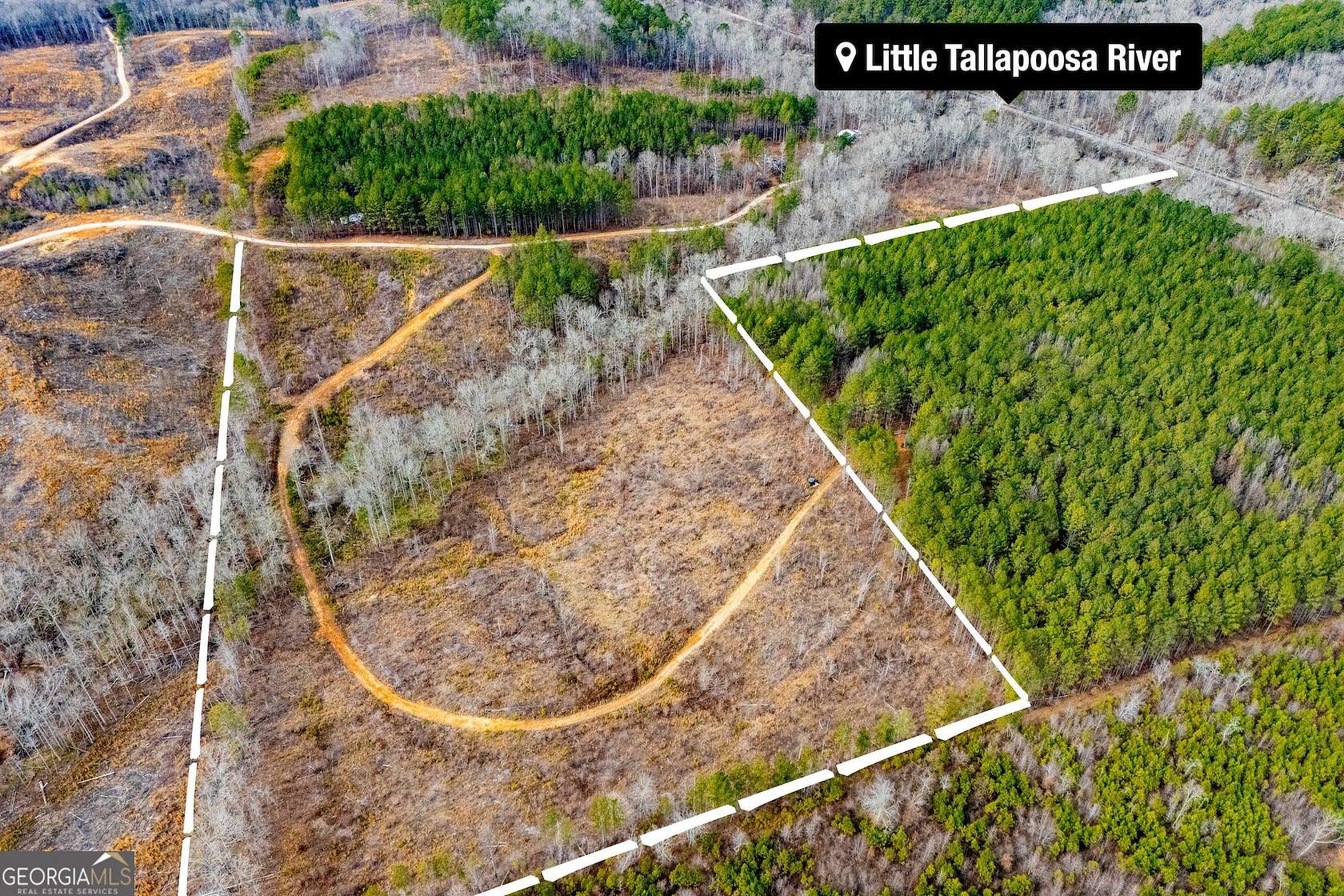 25.2 Acres of Recreational Land for Sale in Muscadine, Alabama