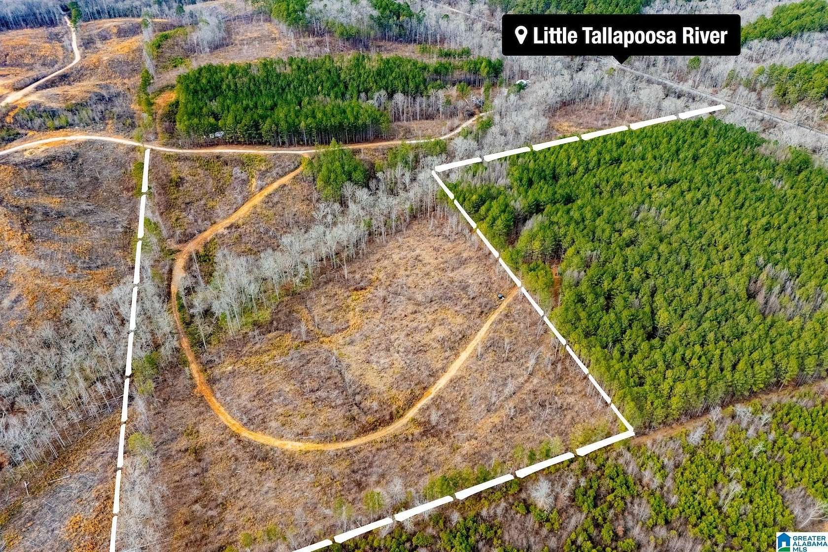 25.2 Acres of Recreational Land for Sale in Muscadine, Alabama