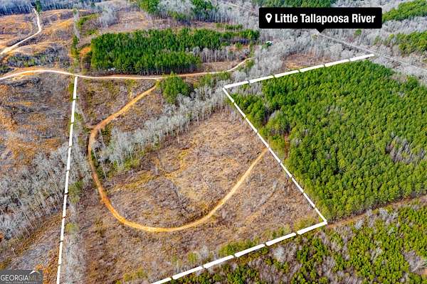 25.2 Acres of Recreational Land for Sale in Muscadine, Alabama