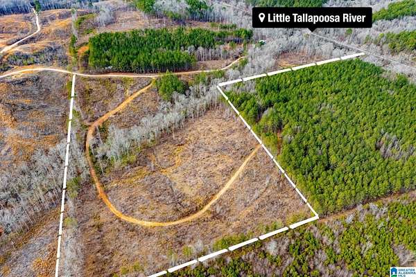 25.2 Acres of Recreational Land for Sale in Muscadine, Alabama
