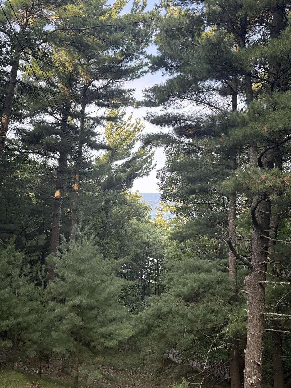 1 Acre of Residential Land for Sale in Shelby, Michigan