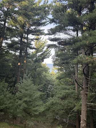 1 Acre of Residential Land for Sale in Shelby, Michigan