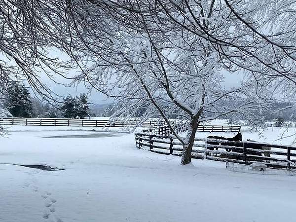 40 Acres of Land with Home for Sale in London, Kentucky