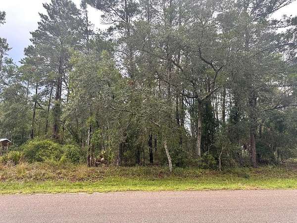0.69 Acres of Residential Land for Sale in Steinhatchee, Florida