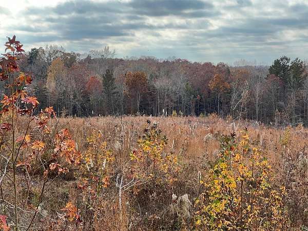 17.2 Acres of Recreational Land for Sale in Sugar Tree, Tennessee