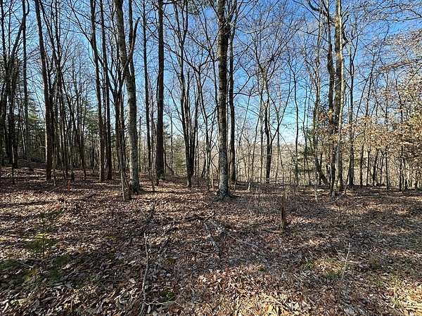 1.29 Acres of Land for Sale in Talking Rock, Georgia