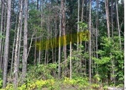 3.33 Acres of Residential Land for Sale in Vance, Alabama