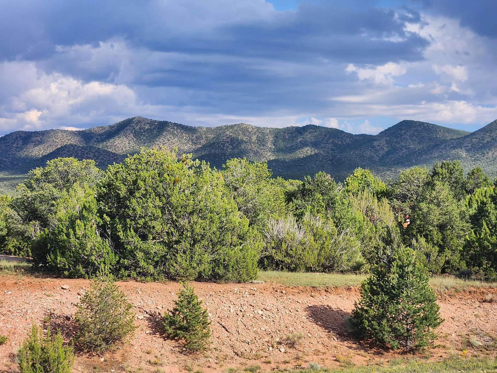 1.17 Acres of Residential Land for Sale in Sandia Park, New Mexico