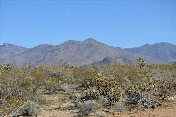 1.35 Acres of Land for Sale in Yucca, Arizona