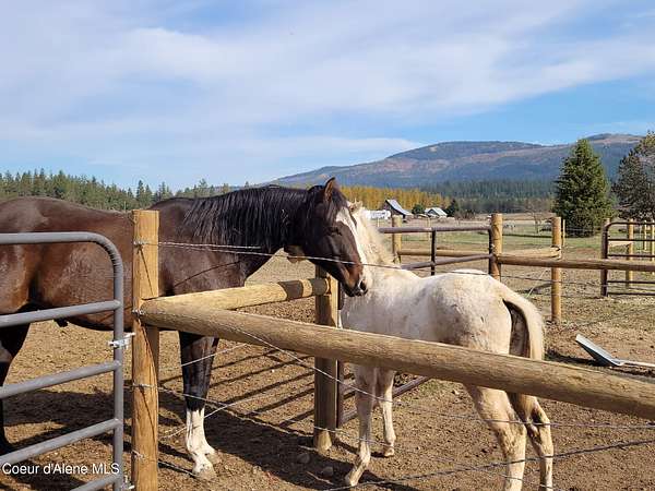 5 Acres of Land with Home for Sale in Blanchard, Idaho