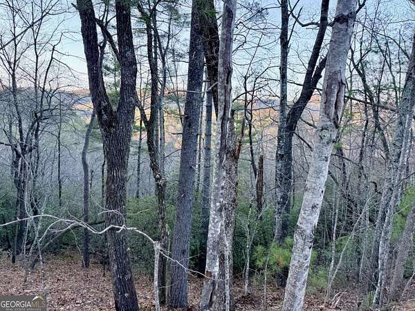 6.62 Acres of Residential Land for Sale in Clayton, Georgia