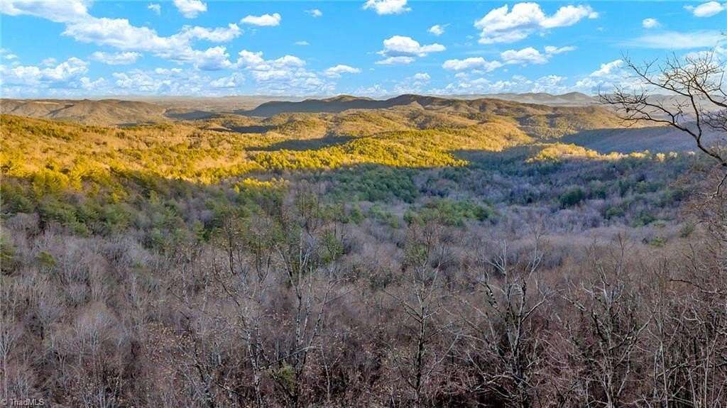 101 Acres of Recreational & Residential Land for Sale in Purlear, North Carolina