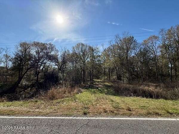 48 Acres of Recreational Land for Sale in Sunset, Louisiana