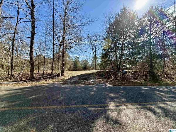 3 Acres of Residential Land for Sale in Sylacauga, Alabama