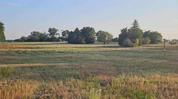 1 Acre of Residential Land for Sale in Eustace, Texas