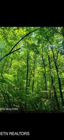 89.6 Acres of Recreational Land for Sale in Speedwell, Tennessee