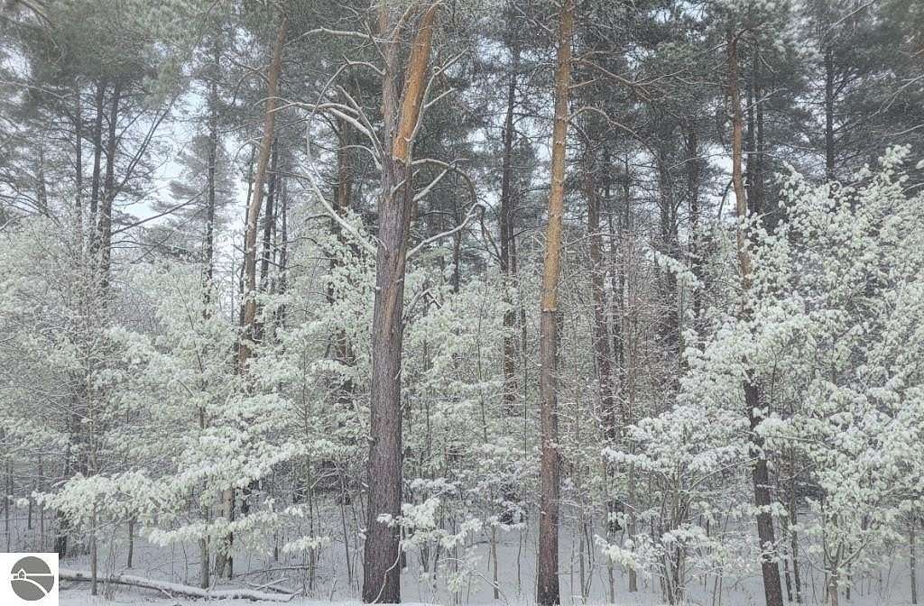 2.75 Acres of Land for Sale in Kingsley, Michigan