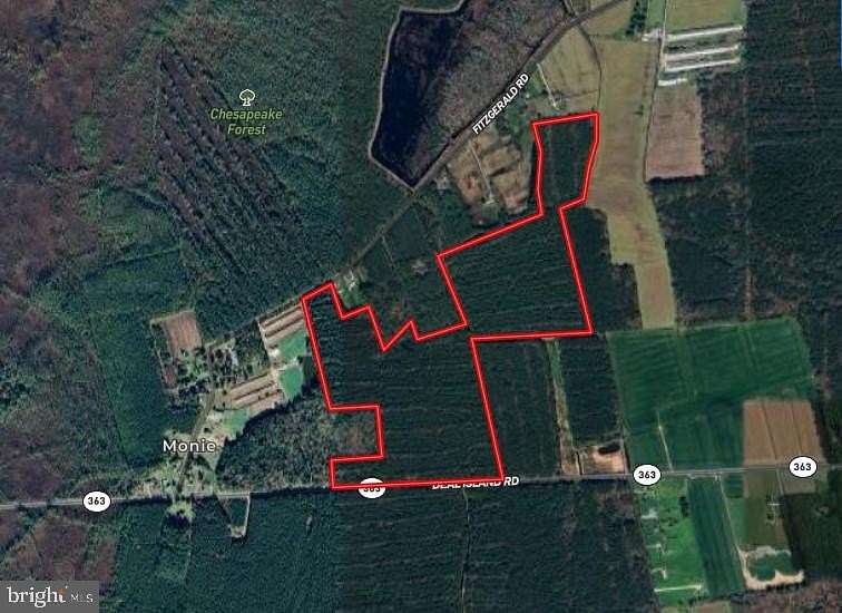 76.3 Acres of Recreational Land for Sale in Princess Anne, Maryland