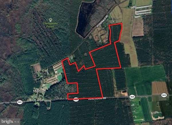 76.3 Acres of Recreational Land for Sale in Princess Anne, Maryland