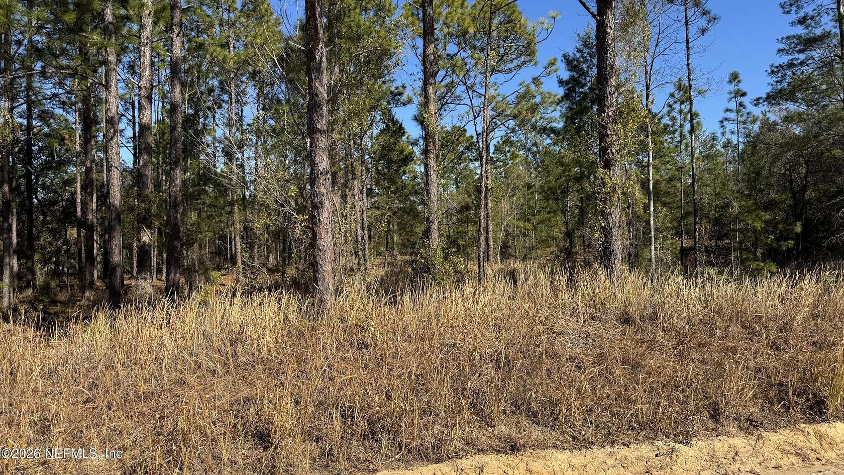 2.57 Acres of Residential Land for Sale in Interlachen, Florida