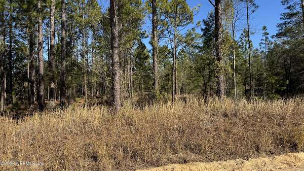 2.57 Acres of Residential Land for Sale in Interlachen, Florida