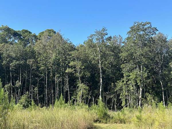 68.1 Acres of Recreational Land & Farm for Sale in Laurel Hill, Florida