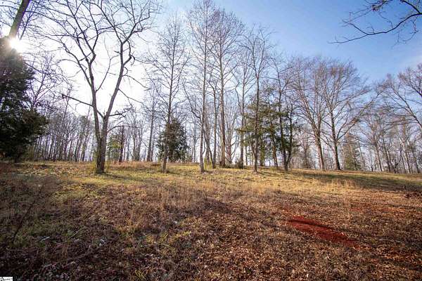 9.3 Acres of Residential Land for Sale in Woodruff, South Carolina