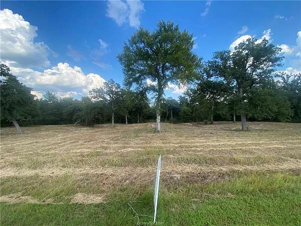 3 Acres of Residential Land for Sale in Iola, Texas