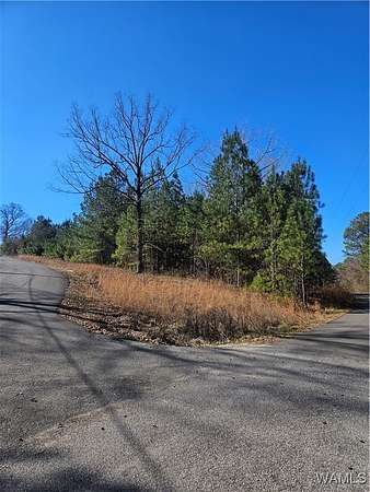 0.85 Acres of Land for Sale in Woodstock, Alabama