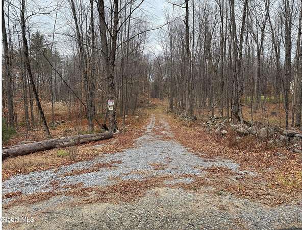 5.54 Acres of Residential Land for Sale in Greenfield Center, New York