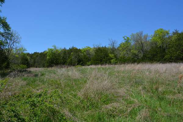 51.8 Acres of Recreational Land for Sale in Petersburg, Tennessee