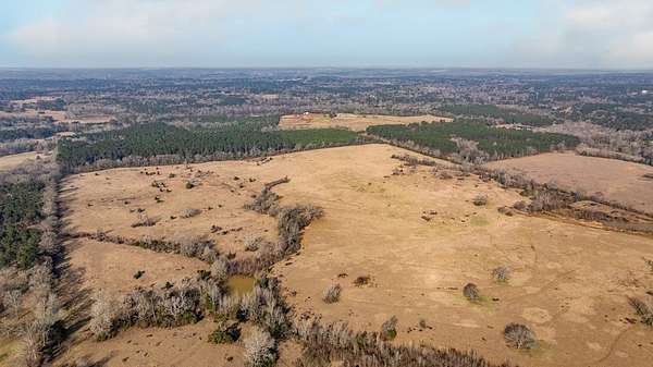 50 Acres of Land for Sale in Nacogdoches, Texas
