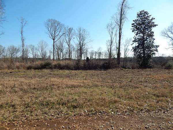 0.54 Acres of Residential Land for Sale in Many, Louisiana