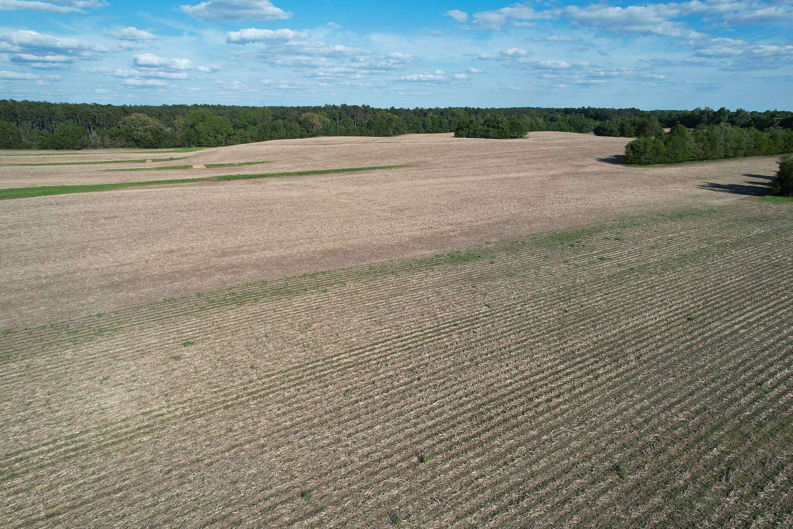 160 Acres of Land for Sale in Golconda, Illinois