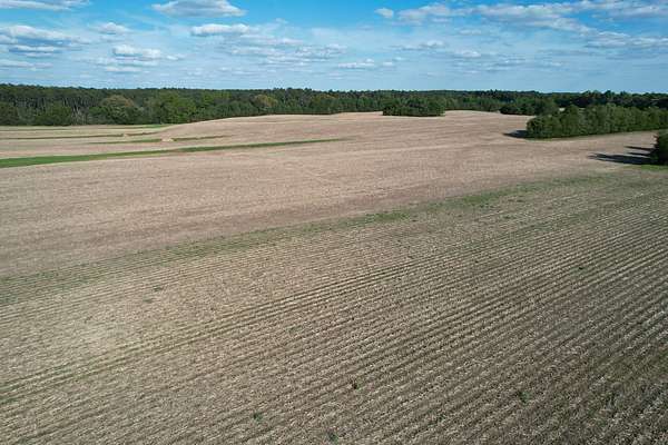160 Acres of Land for Sale in Golconda, Illinois