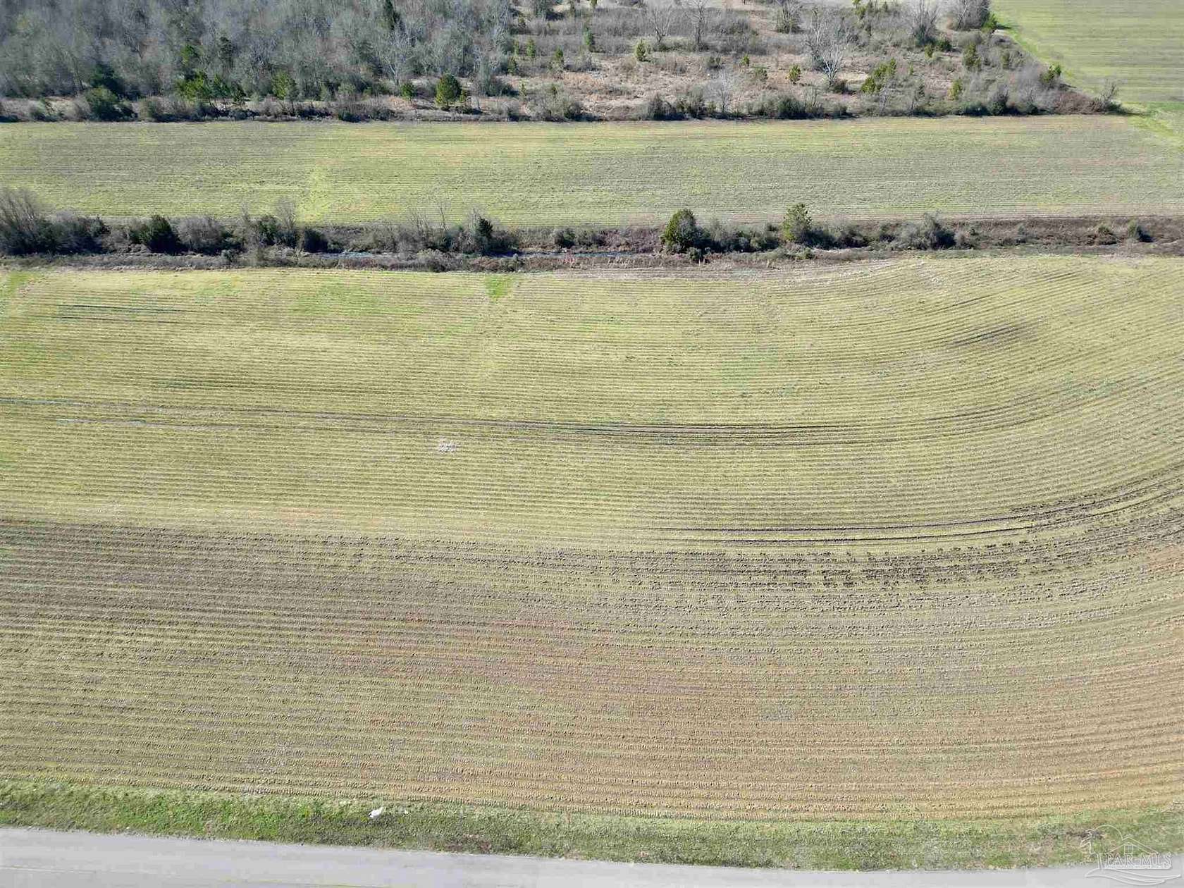 10 Acres of Land for Sale in Atmore, Alabama