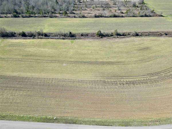 10 Acres of Land for Sale in Atmore, Alabama