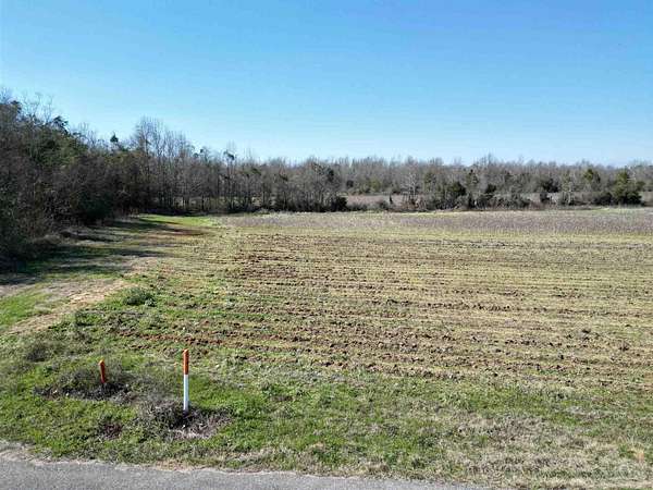 6.5 Acres of Land for Sale in Atmore, Alabama