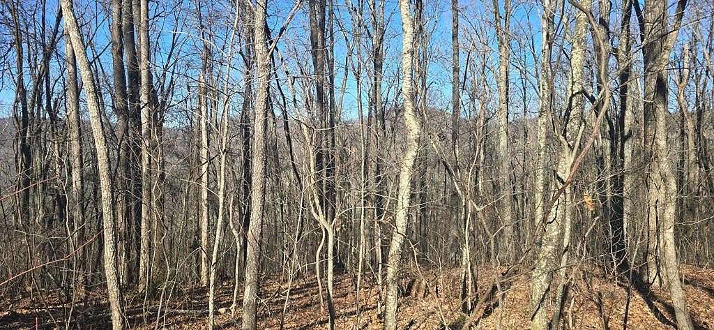 10 Acres of Residential Land for Sale in Jasper, Georgia