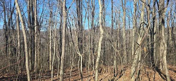 10 Acres of Residential Land for Sale in Jasper, Georgia