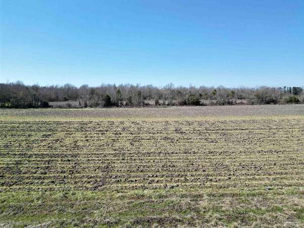 5 Acres of Land for Sale in Atmore, Alabama