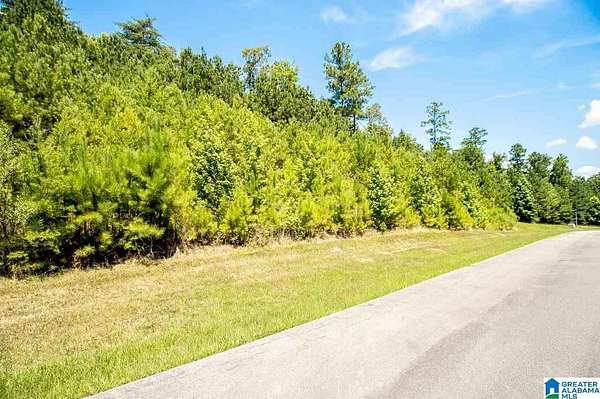65 Acres of Land for Sale in Oneonta, Alabama